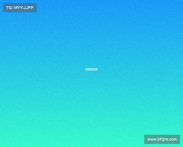 巨石网络科技公司